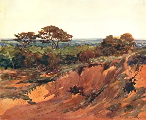 Tones: Limpsfield Common