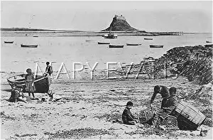 Lindisfarne: LINDISFARNE/1904
