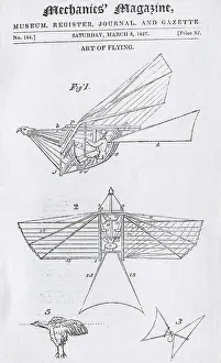 Man Powered: A Line-Drawing of Thomas Walker's First Design for a Fly?