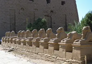 Sphinxes: Line of ram-headed sphinxes, temple of Rameses