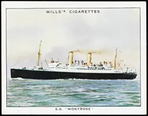 Montrose: Liner Montrose