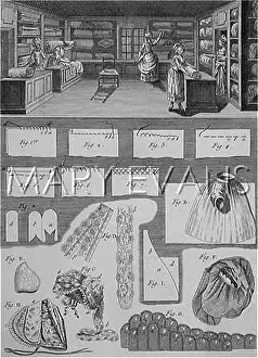 Seams: LINGERIE MANUFACTURE