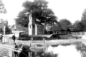 Lingfield: Lingfield, Old Cage and Pond 1904