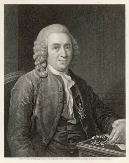 Linne: LINNAEUS