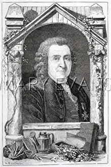 Linne: LINNAEUS