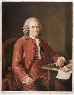 Linne: Linnaeus - Botanist - Roslin