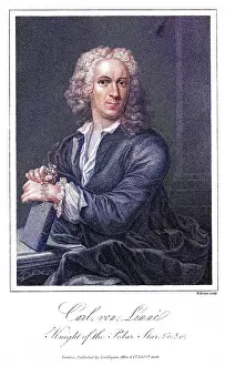 Linne: LINNAEUS (EVANS)