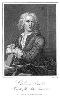 1707: LINNAEUS (EVANS)