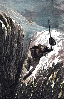 Tricky: LINNAEUS SLIPS