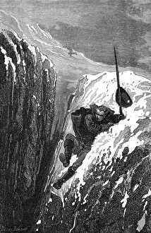 1707: LINNAEUS SLIPS