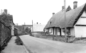 Linton: Linton, the Grip c1955
