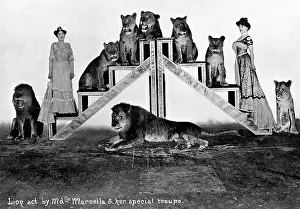 Circuses: Lion act