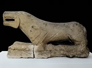 Baena: THE LION OF BAENA