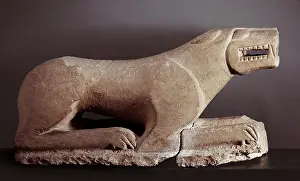 Baena: THE LION OF BAENA