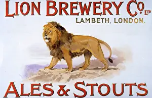 1903copy1: Lion Brewery Company