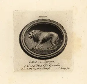 Cornelian: Lion in cornelian and dactylotheca