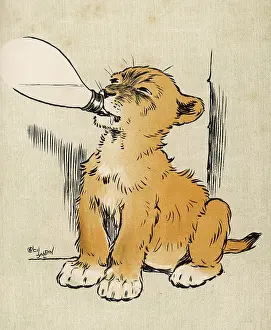 Sucking: LION CUB DRINKS MILK
