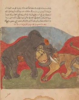 Kalila: The Lion and the Elephant Fighting, Folio from
