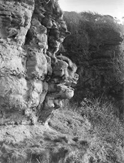 Resemble: LION FACE ROCK FORMATION