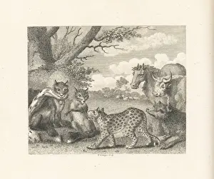Tyranny: The Lion, the Fox and the Geese