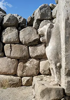 Mane: Lion Gate, Hattusa, Anatolia, Turkey