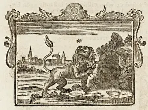 1761: The Lion and the Gnat