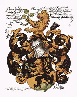 Griffin: Lion/Griffin Crest 1550