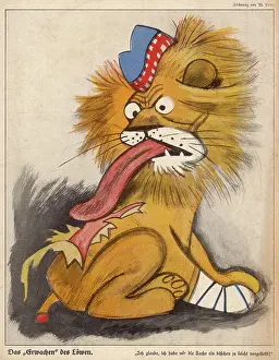 Licks: LION LICKS WOUNDS