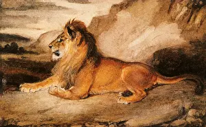 Barye: Lion Lying on Ground