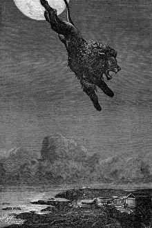 Nemea: LION OF NEMEA/