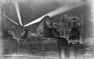 Softly: The Lion at Night