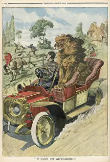 Endangering: LION PASSENGER 1909