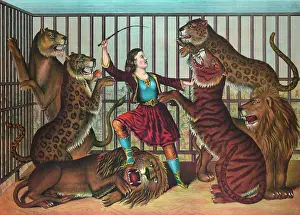 C1874: The lion queen