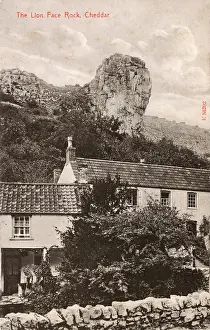 Gully: The Lion Rock, Cheddar, Somerset
