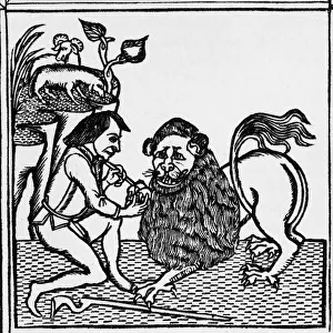 Litrature: The lion & the shepherd