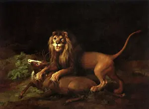 1765: Lion and Stag, by Stubbs