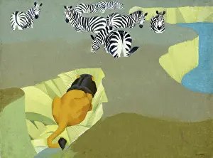 Lakeside: Lion stalking a herd of Zebra