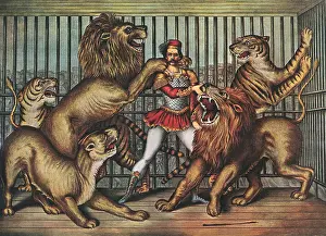 Confidently: Lion Tamer