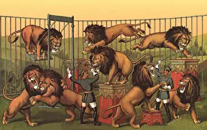 Taming: Lion Taming