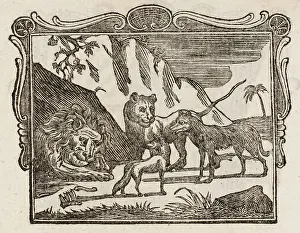 Aesop: The Lion, Wolf and Fox