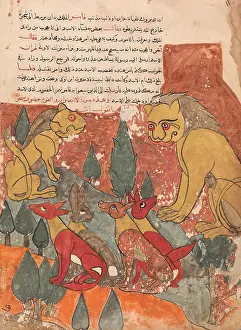 Kalila: The Lioness Advises her Son, Folio from a Kalila