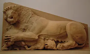 Parthenon: Lioness attacking a bull. Relief. Probably part of the origi
