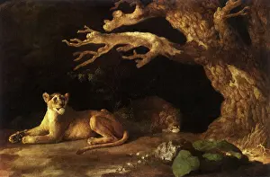 Mate: Lioness, Lion in Cave, by Stubbs