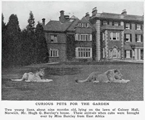 Apr24: Lions at Colney Hall
