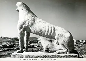 Delos: The Lions of Delos, Greece