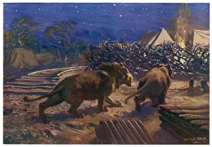 Extent: LIONS STOP RAIL WORK