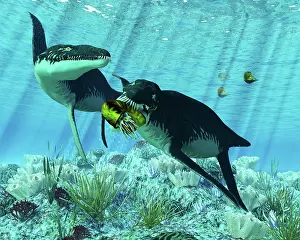 Liopleurodon: Liopleurodon eating an ammonite