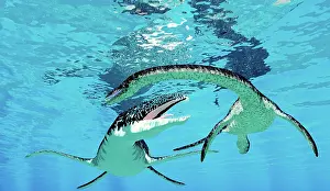 Loch: A Liopleurodon goes after a Plesiosaurus aquatic