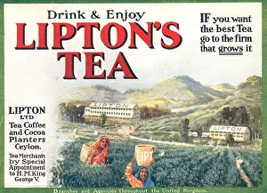 Planters: Lipton's Tea Advertisement