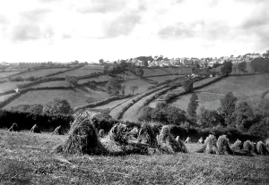 Liskeard: Liskeard, from the Railway 1890